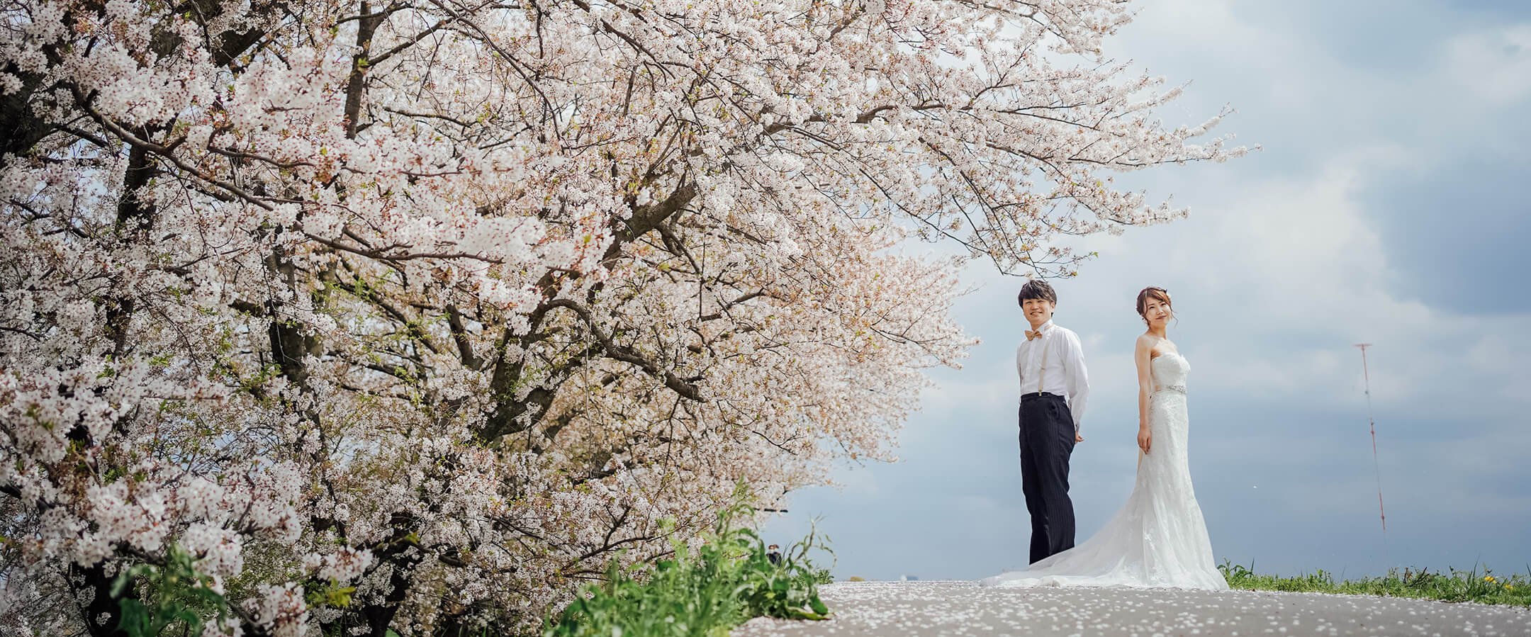 🌳 아키가세 공원 이미지 7